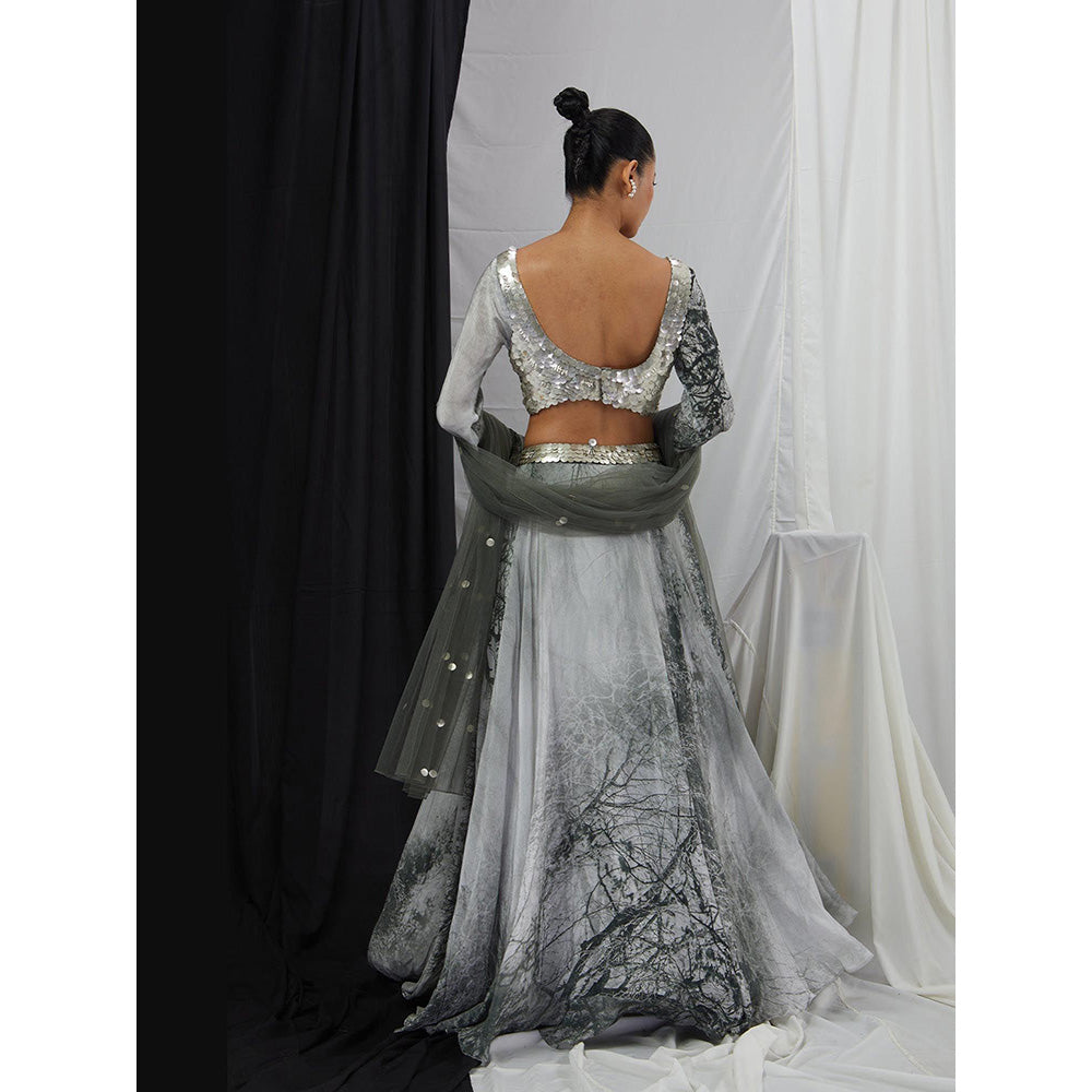 Nirmooha Grey Embellished Lehenga and Blouse with Dupatta
