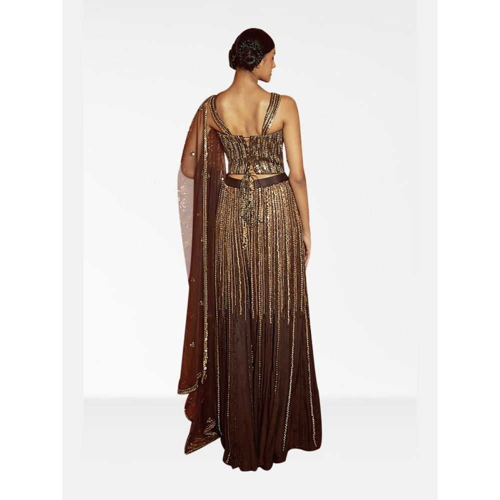 Nirmooha Brown Embellished Corset and Palazzo with Dupatta