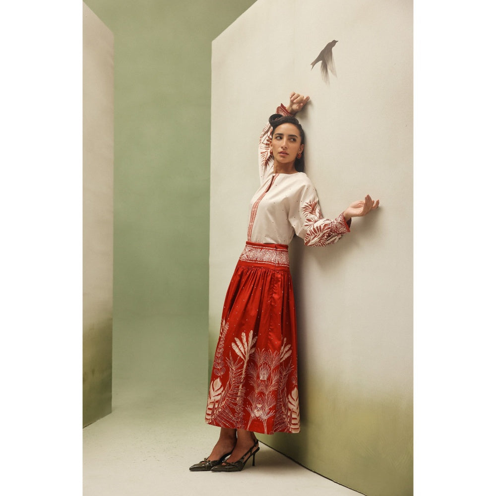 NOIB Black Ivy Skirt - Shooting Stars
