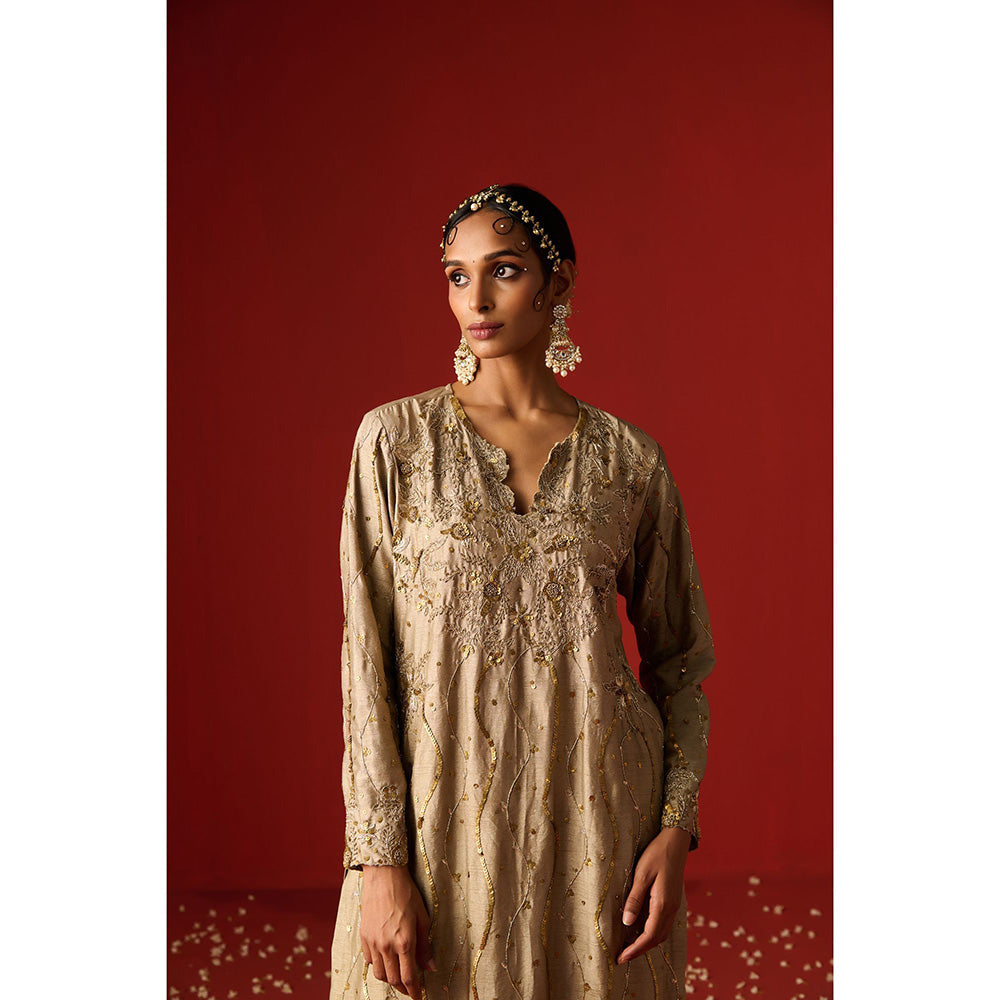 OHH CROW Beige Embroidered Raw Silk Kurta with Pant and Dupatta (Set of 3)