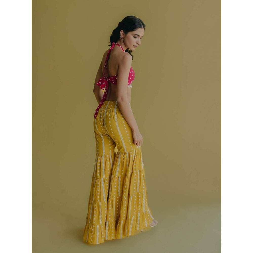 Old Marigold Aisha Yellow Cotton Embroidered Blouse With Sharara (Set of 2)
