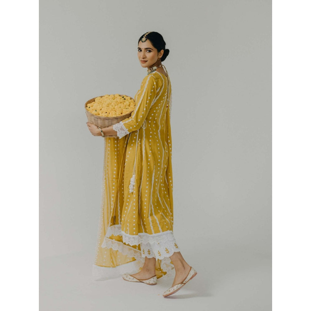 Old Marigold Amara Yellow Cotton Embroidered Kurta