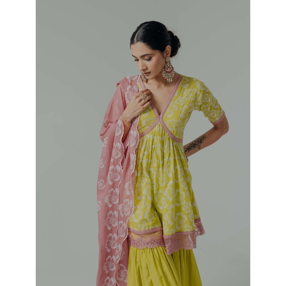 Old Marigold Shireen Yellow Cotton Floral Kurta