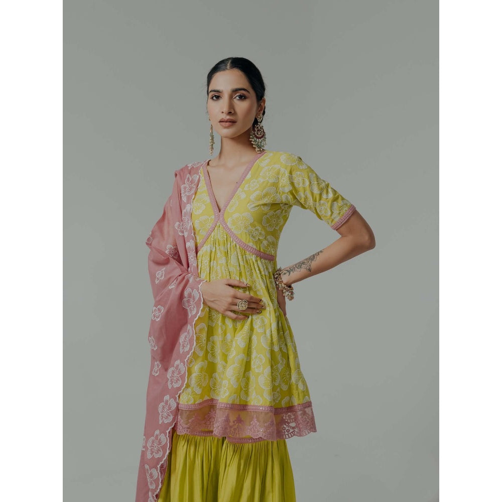 Old Marigold Shireen Yellow Cotton Floral Kurta