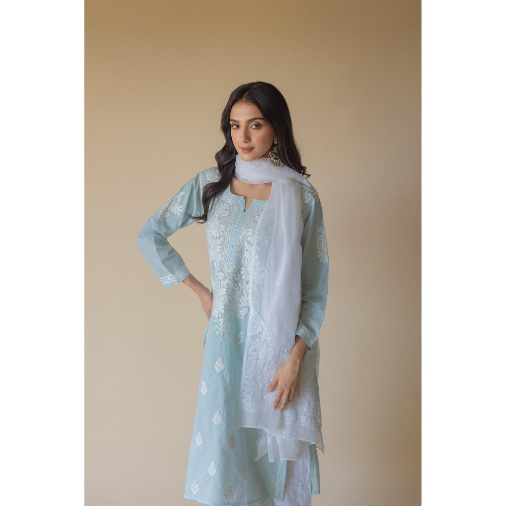 Old Marigold Nazma Cotton Blue Hand Embroidered Chikankari Kurta