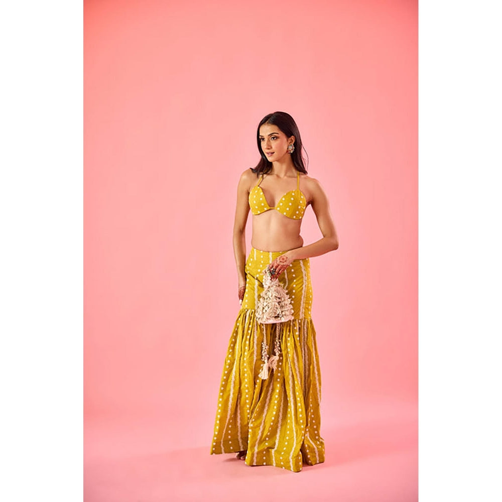 Old Marigold Yellow Embroidered Plunging Neck Blouse with Sharara