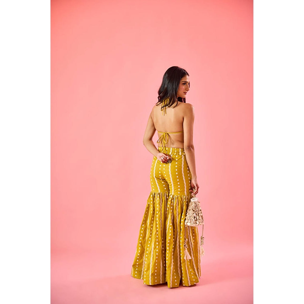 Old Marigold Yellow Embroidered Plunging Neck Blouse with Sharara