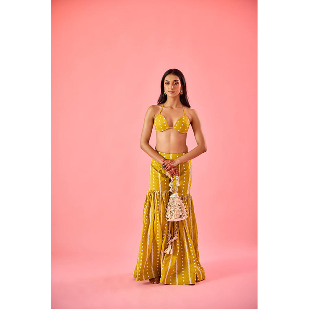 Old Marigold Yellow Embroidered Plunging Neck Blouse with Sharara