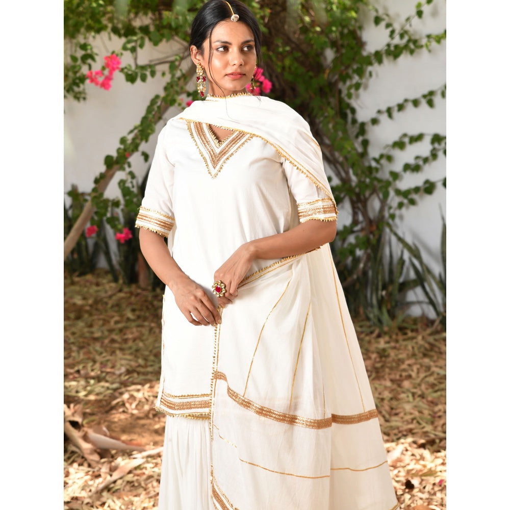 OMAANA Chanda Sharara Set (Set of 3)