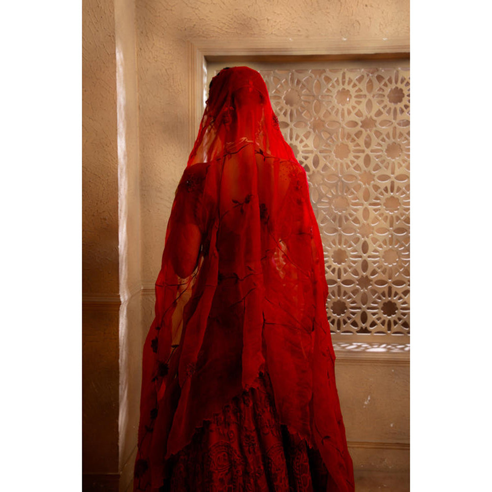 Omana by Ranjana Bothra Red Organza Embroidered Blouse with Lehenga and Dupatta