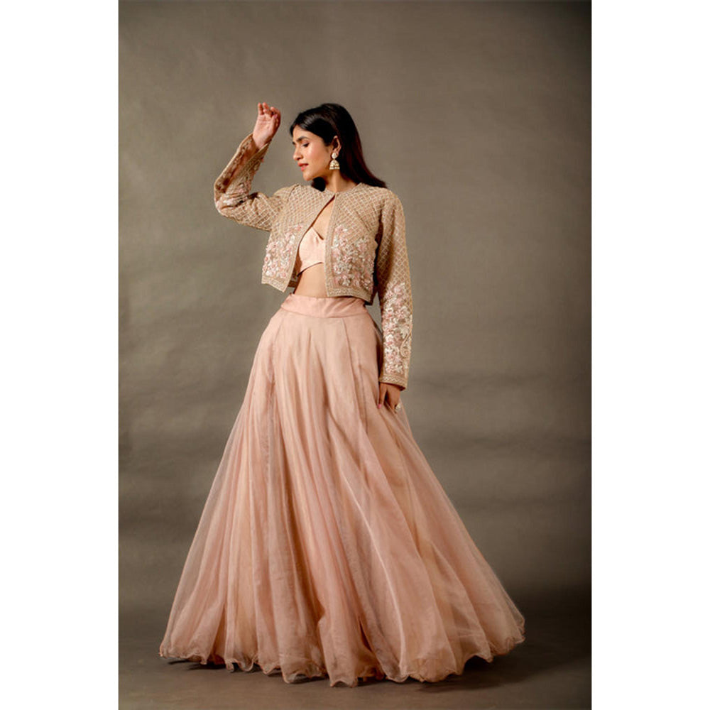 Omana by Ranjana Bothra Pink Organza Embroidered Blouse with Lehenga and Jacket