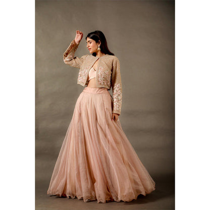 Omana by Ranjana Bothra Pink Organza Embroidered Blouse with Lehenga and Jacket