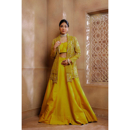 Omana by Ranjana Bothra Mustard Organza Embroidered Blouse with Lehenga and Jacket
