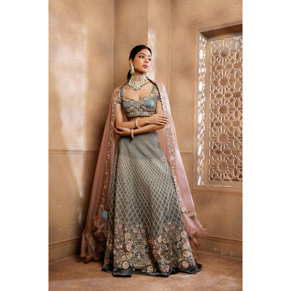 Omana by Ranjana Bothra Grey Organza Embroidered Blouse with Lehenga and Dupatta