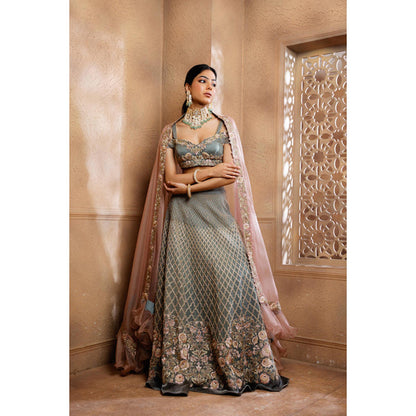 Omana by Ranjana Bothra Grey Organza Embroidered Blouse with Lehenga and Dupatta