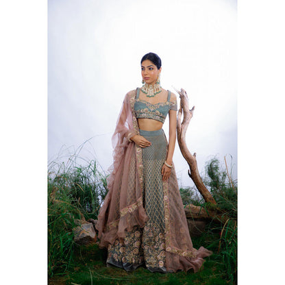 Omana by Ranjana Bothra Grey Organza Embroidered Blouse with Lehenga and Dupatta