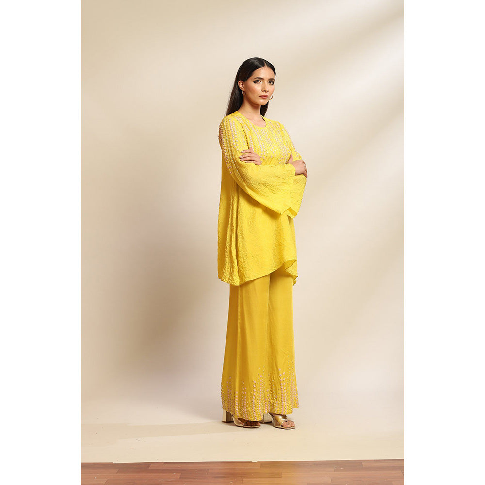 One Not Two Mango Viscose Silk Kurta & Pant with Sequins & Beads Yoke & Sleeve (Set of 2)