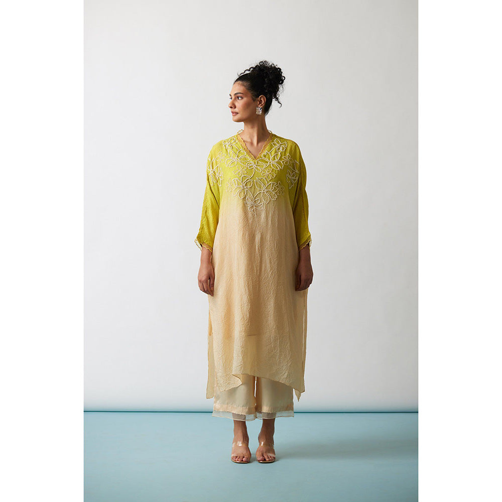 One Not Two Citrene Ombre Crushed Silk Floral Embroidered Kurta & Pant (Set of 2)