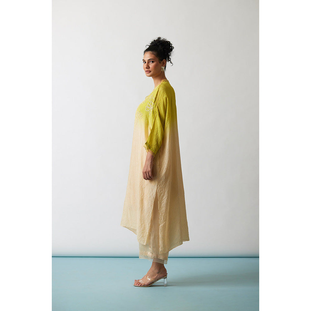 One Not Two Citrene Ombre Crushed Silk Floral Embroidered Kurta & Pant (Set of 2)