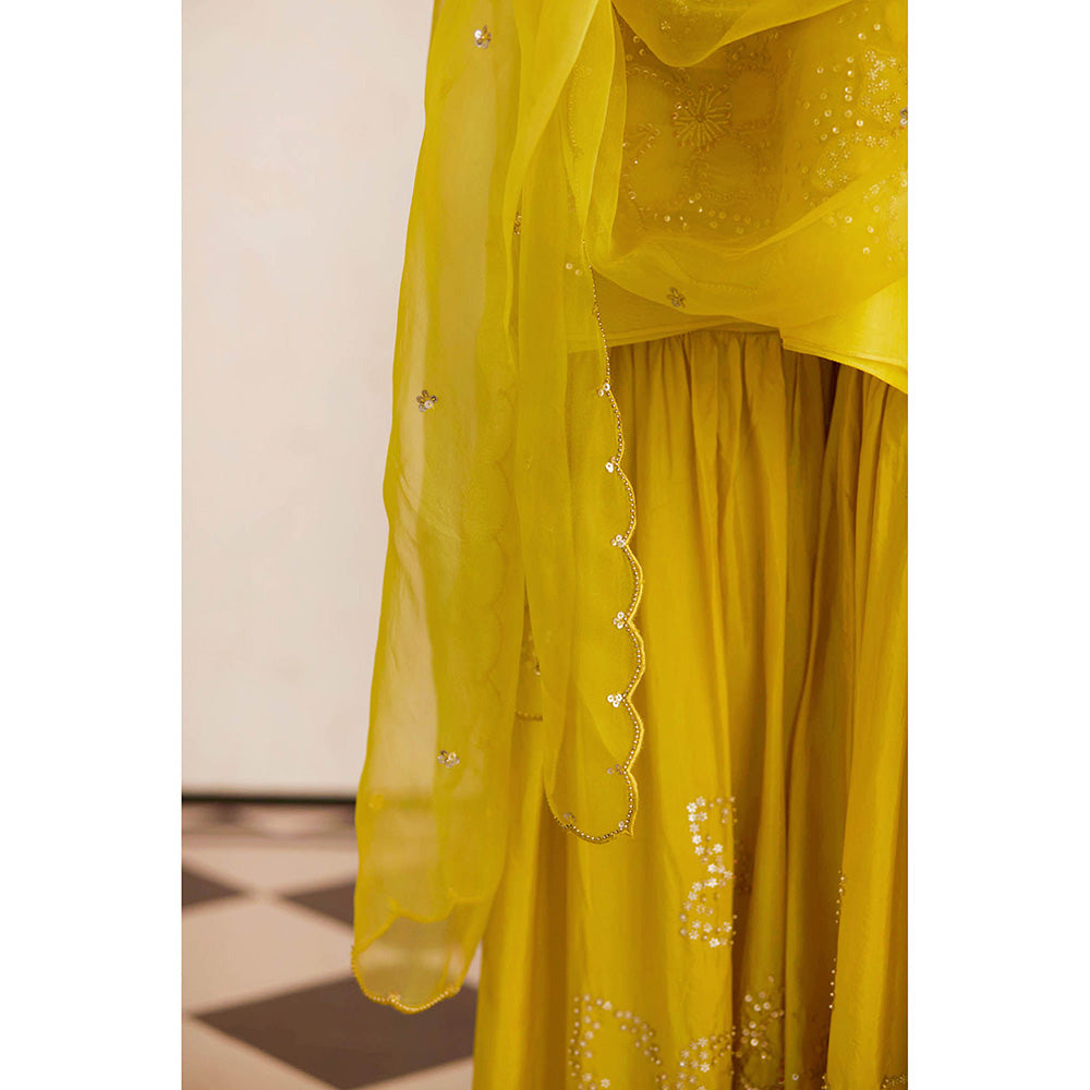 One Not Two Yellow Embroidered Dupatta
