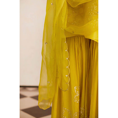 One Not Two Yellow Embroidered Dupatta
