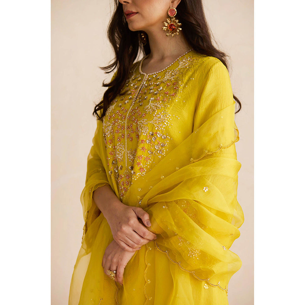 One Not Two Yellow Embroidered Dupatta