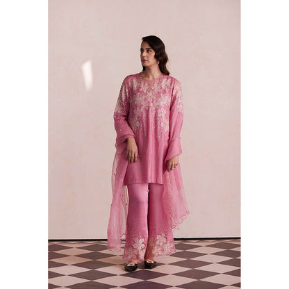 One Not Two Pink Embroidered Dupatta