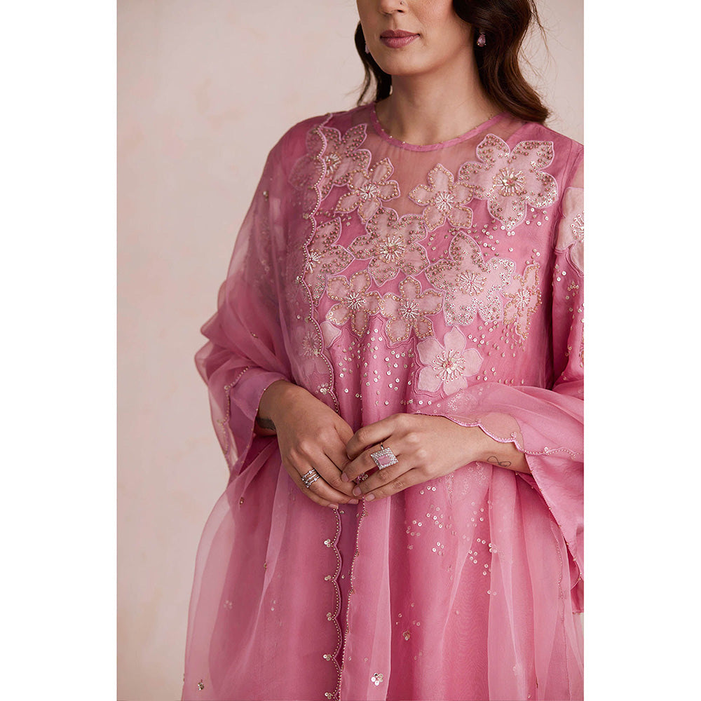 One Not Two Pink Embroidered Dupatta