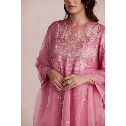 One Not Two Pink Embroidered Dupatta