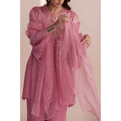 One Not Two Pink Embroidered Dupatta