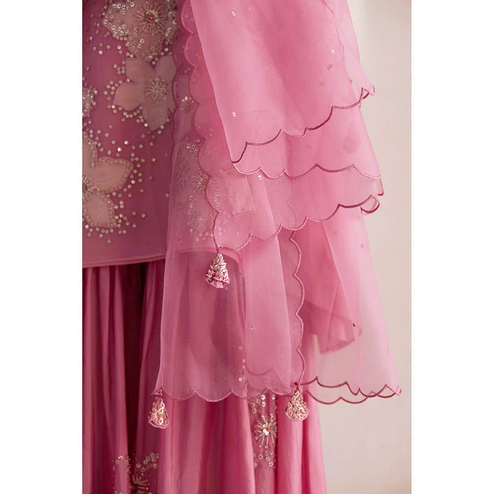 One Not Two Pink Embroidered Dupatta