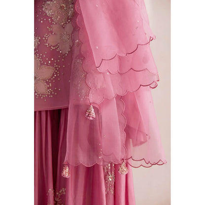 One Not Two Pink Embroidered Dupatta