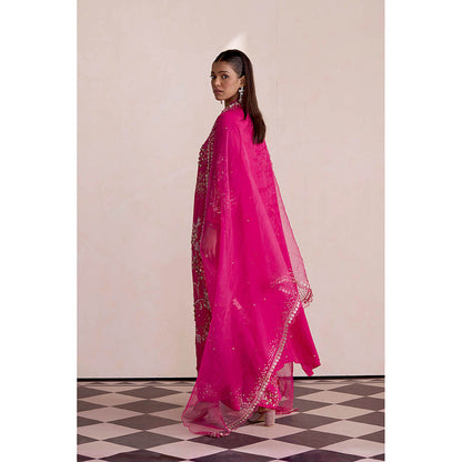 One Not Two Pink Embroidered Dupatta
