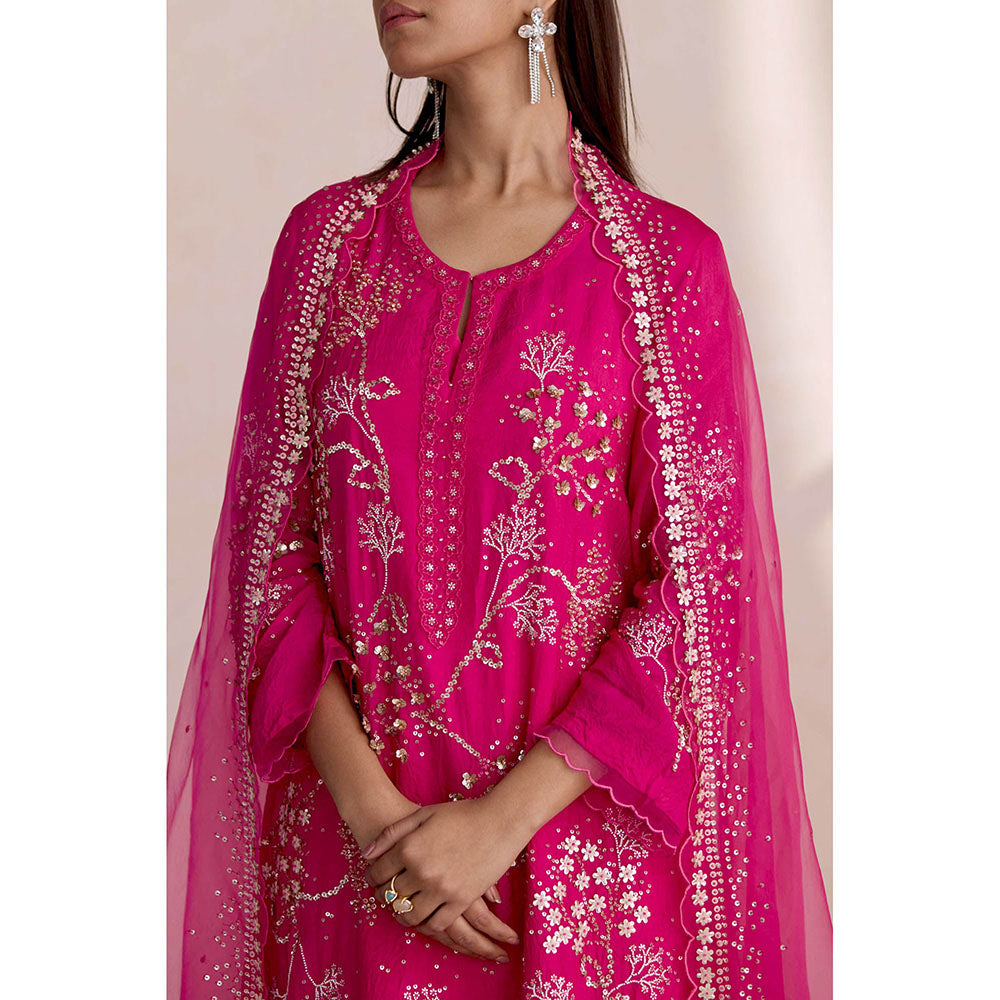 One Not Two Pink Embroidered Dupatta