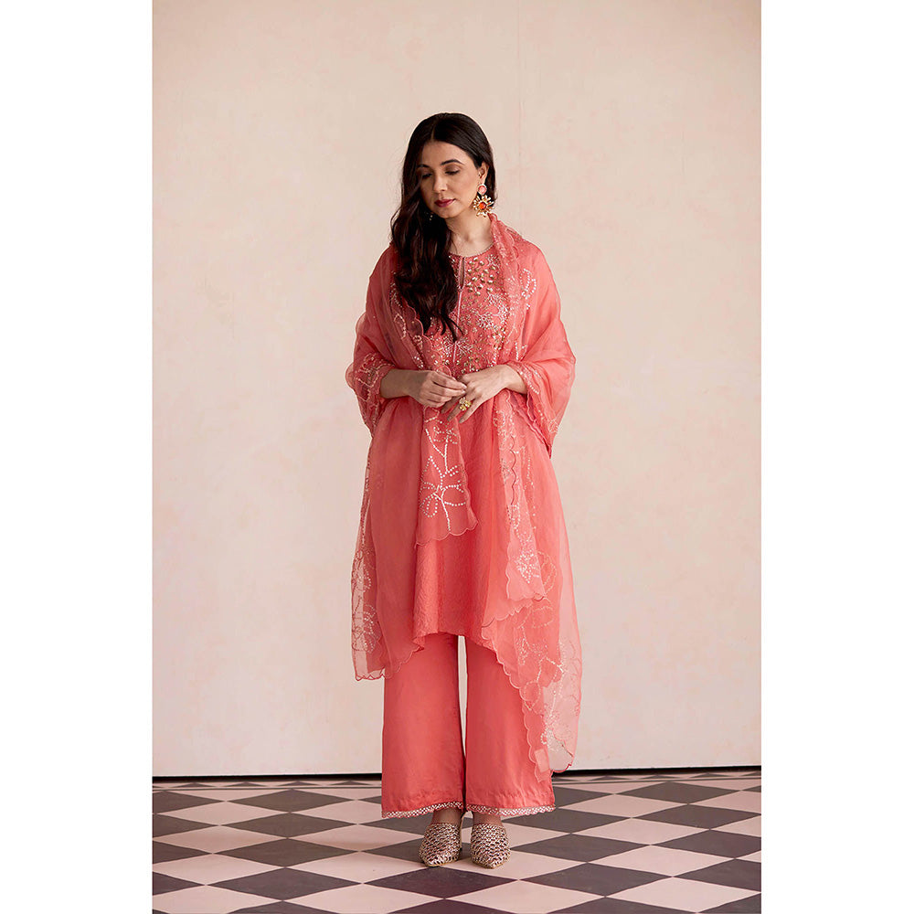 One Not Two Peach Embroidered Dupatta
