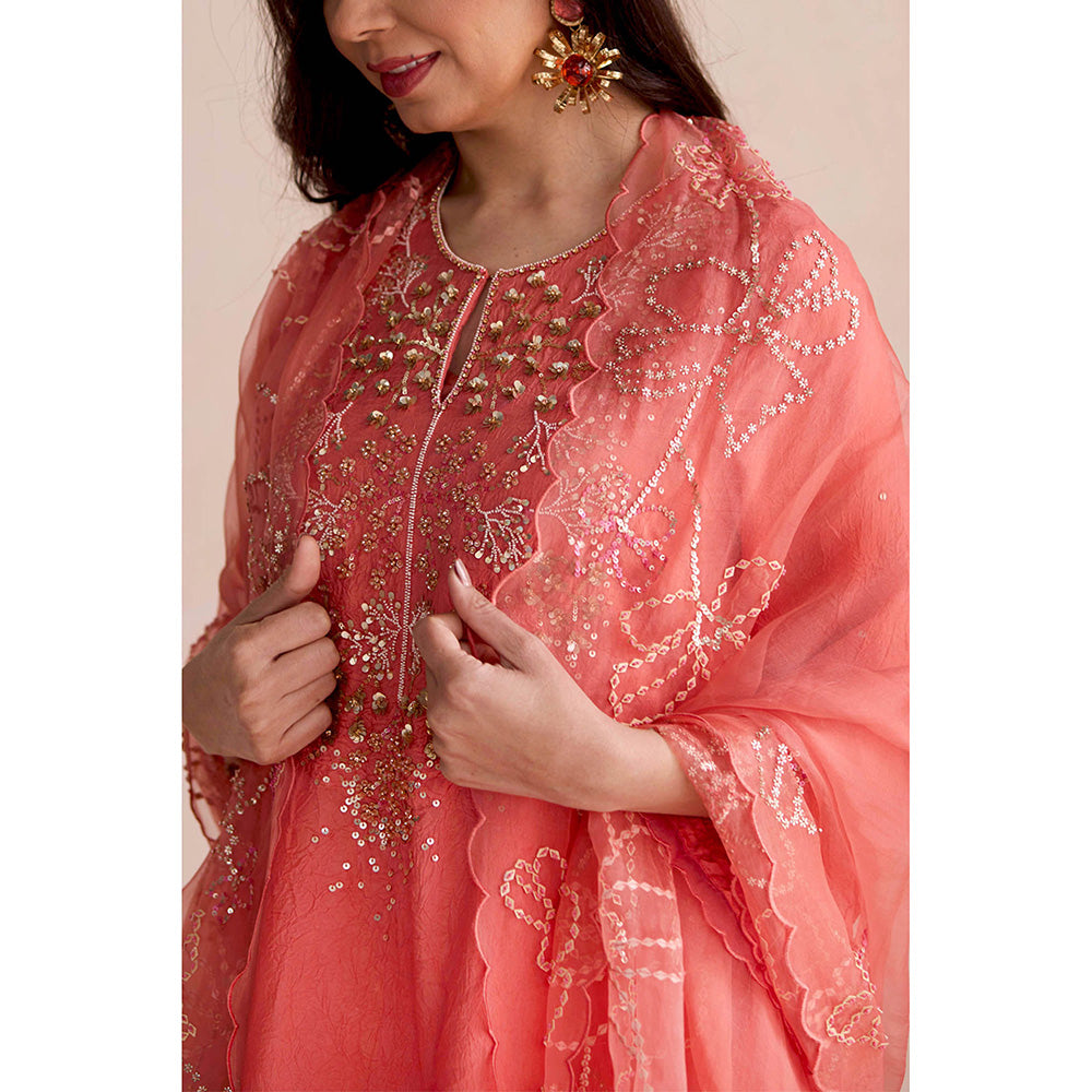 One Not Two Peach Embroidered Dupatta