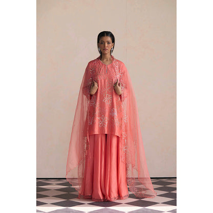 One Not Two Peach Embroidered Dupatta