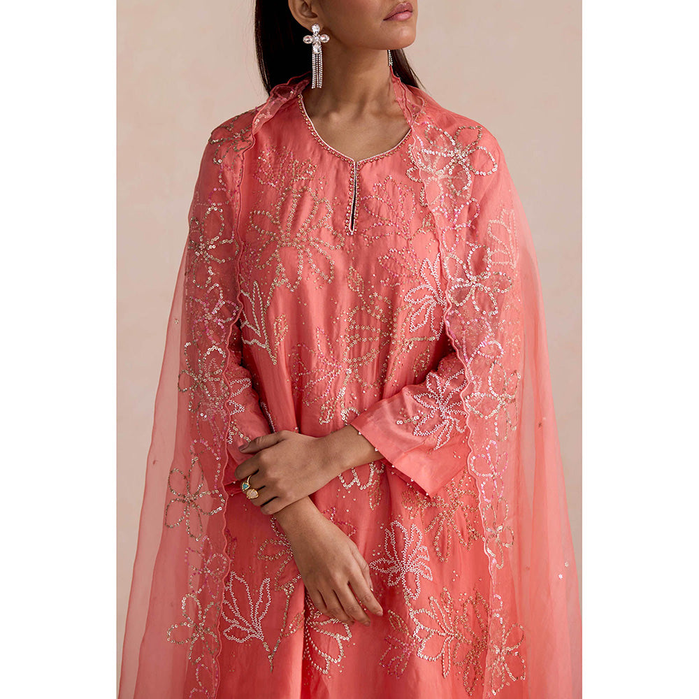 One Not Two Peach Embroidered Dupatta