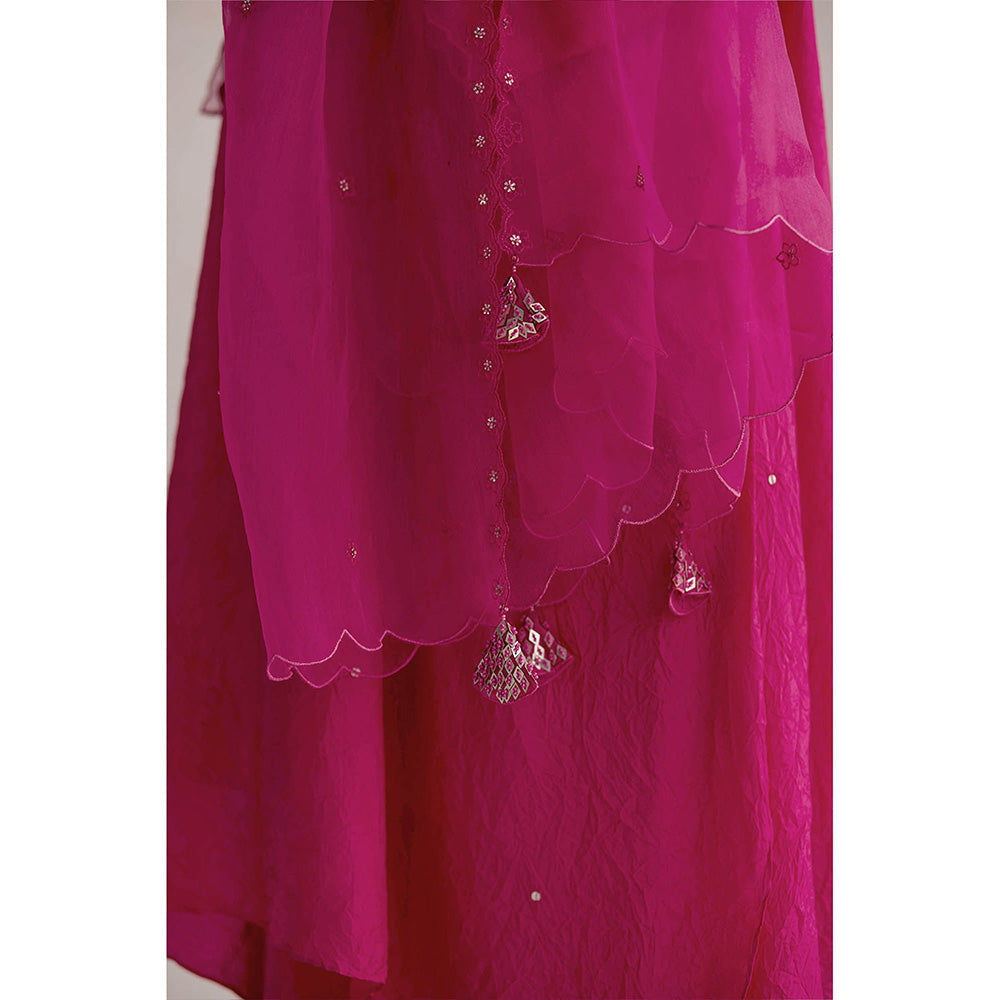 One Not Two Pink Embroidered Dupatta