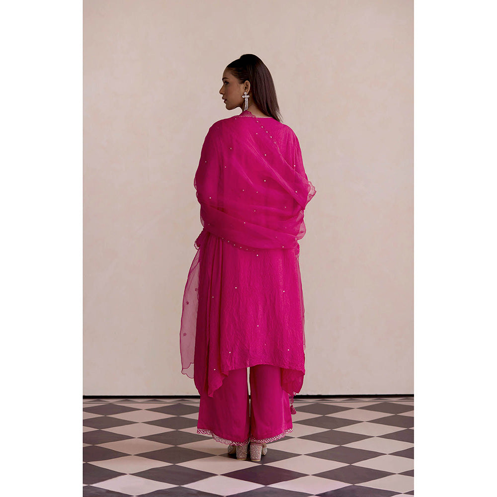 One Not Two Pink Embroidered Dupatta