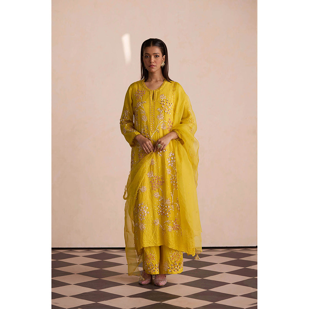One Not Two Yellow Embroidered Dupatta