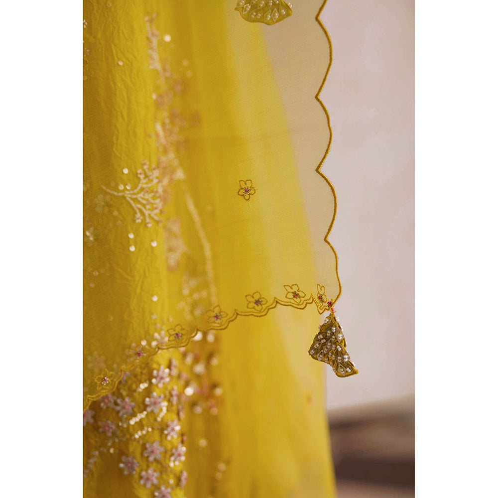 One Not Two Yellow Embroidered Dupatta