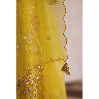 One Not Two Yellow Embroidered Dupatta