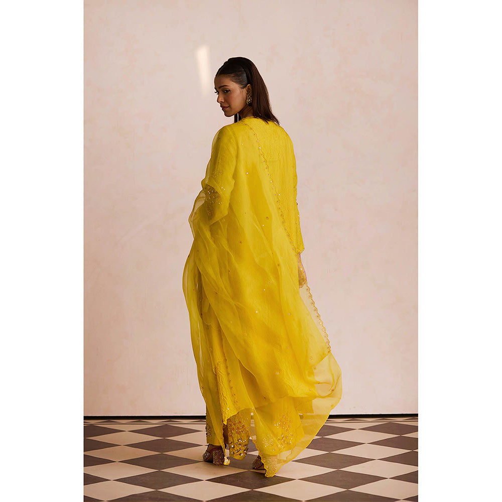 One Not Two Yellow Embroidered Dupatta