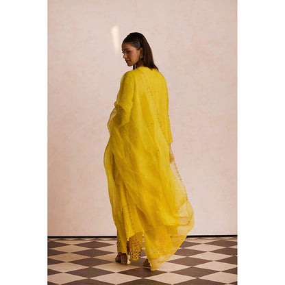 One Not Two Yellow Embroidered Dupatta