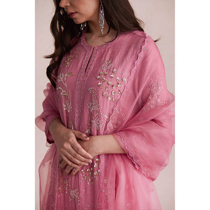 One Not Two Pink Embroidered Dupatta