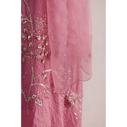 One Not Two Pink Embroidered Dupatta