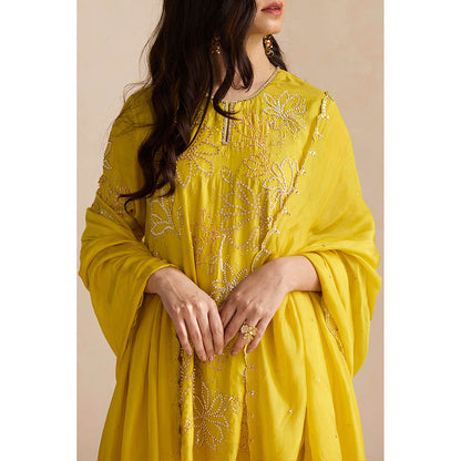 One Not Two Yellow Embroidered Dupatta