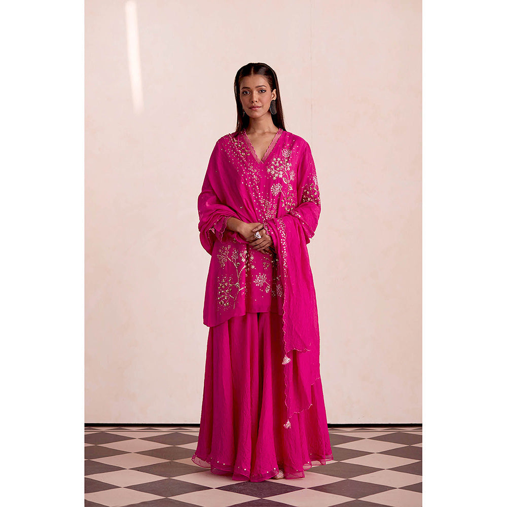 One Not Two Pink Embroidered Dupatta