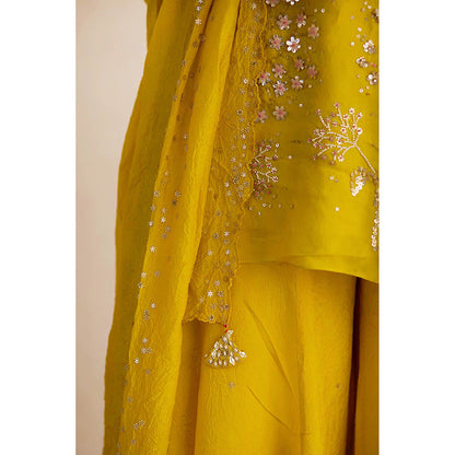 One Not Two Yellow Embroidered Dupatta